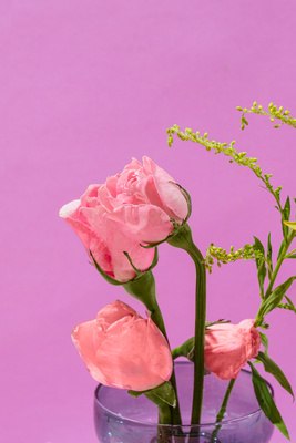 Fresh flowers as a welcome touch